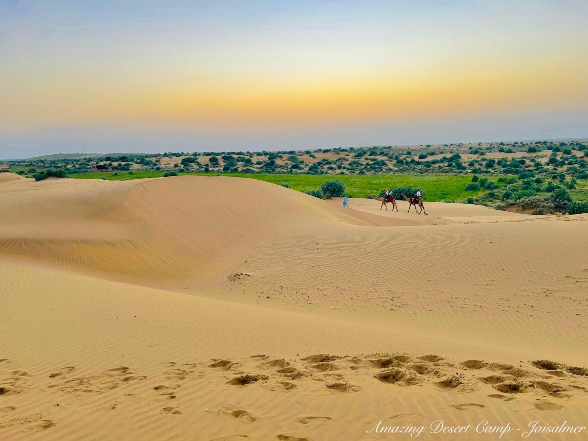 Отель Amazing Desert Camp Джайсалмер Экстерьер фото