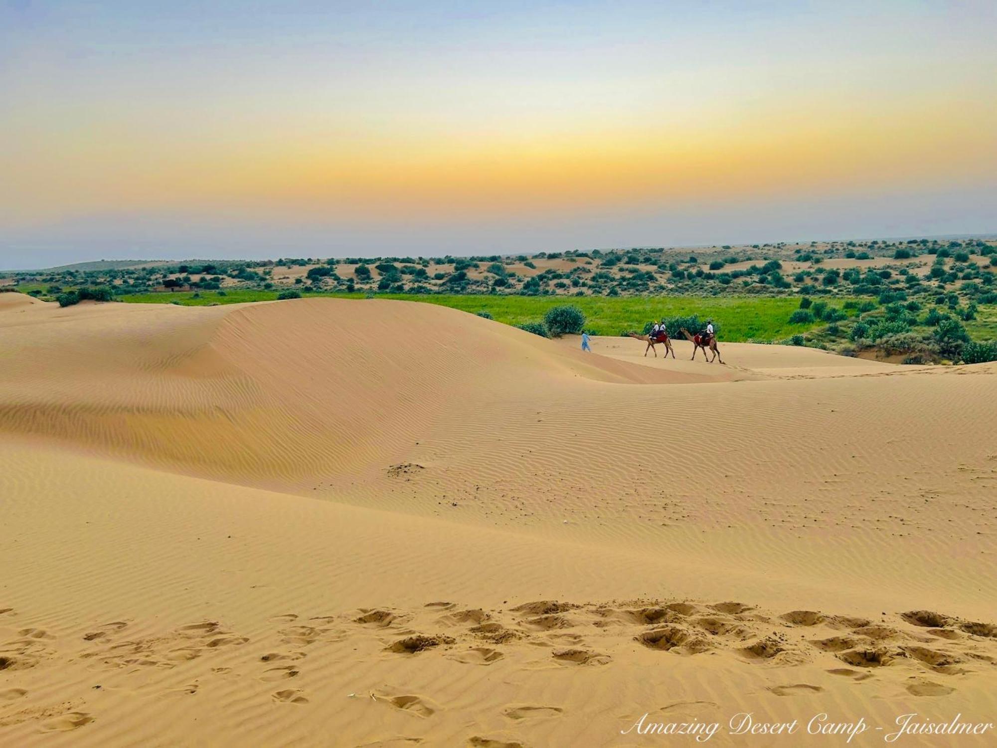 Amazing Desert Camp Джайсалмер Экстерьер фото